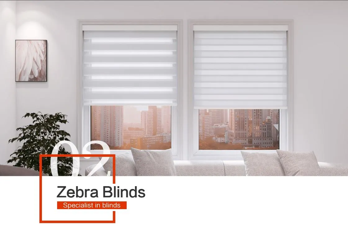 Zebra Blinds